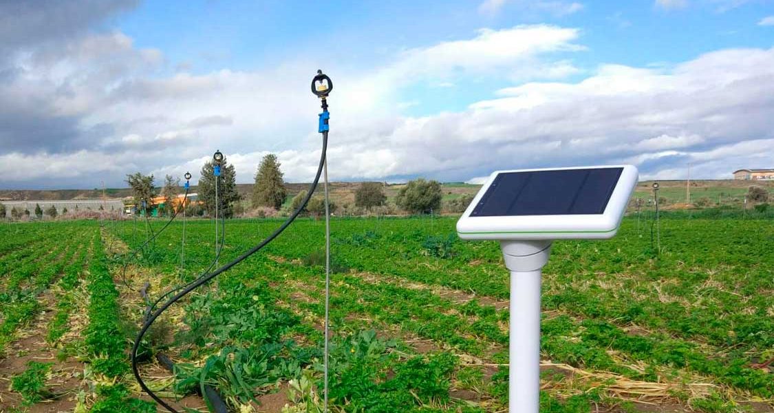 Smart Farming IoT Sensors: Types, Uses, and Best Practices